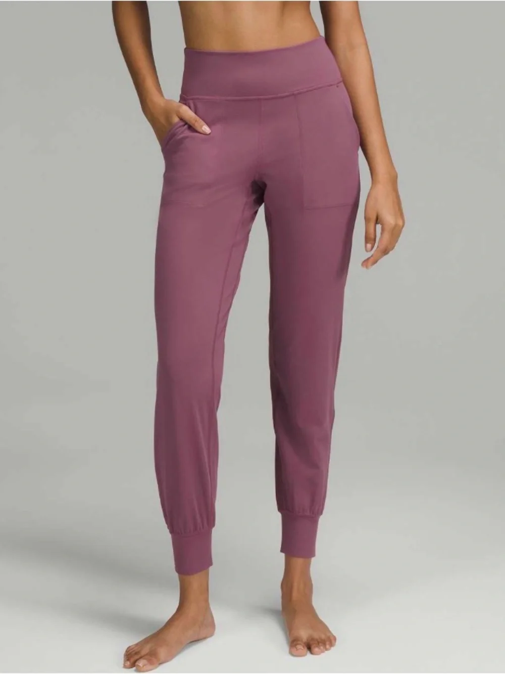 Lululemon Athletica Align High-Rise Joggers In Vintage Plum- Size 10